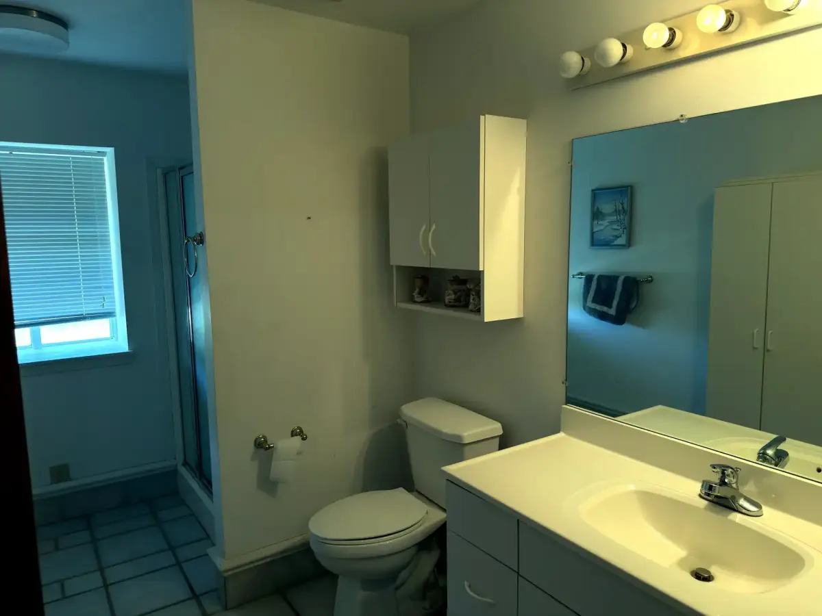 Second bathroom in the Brick House