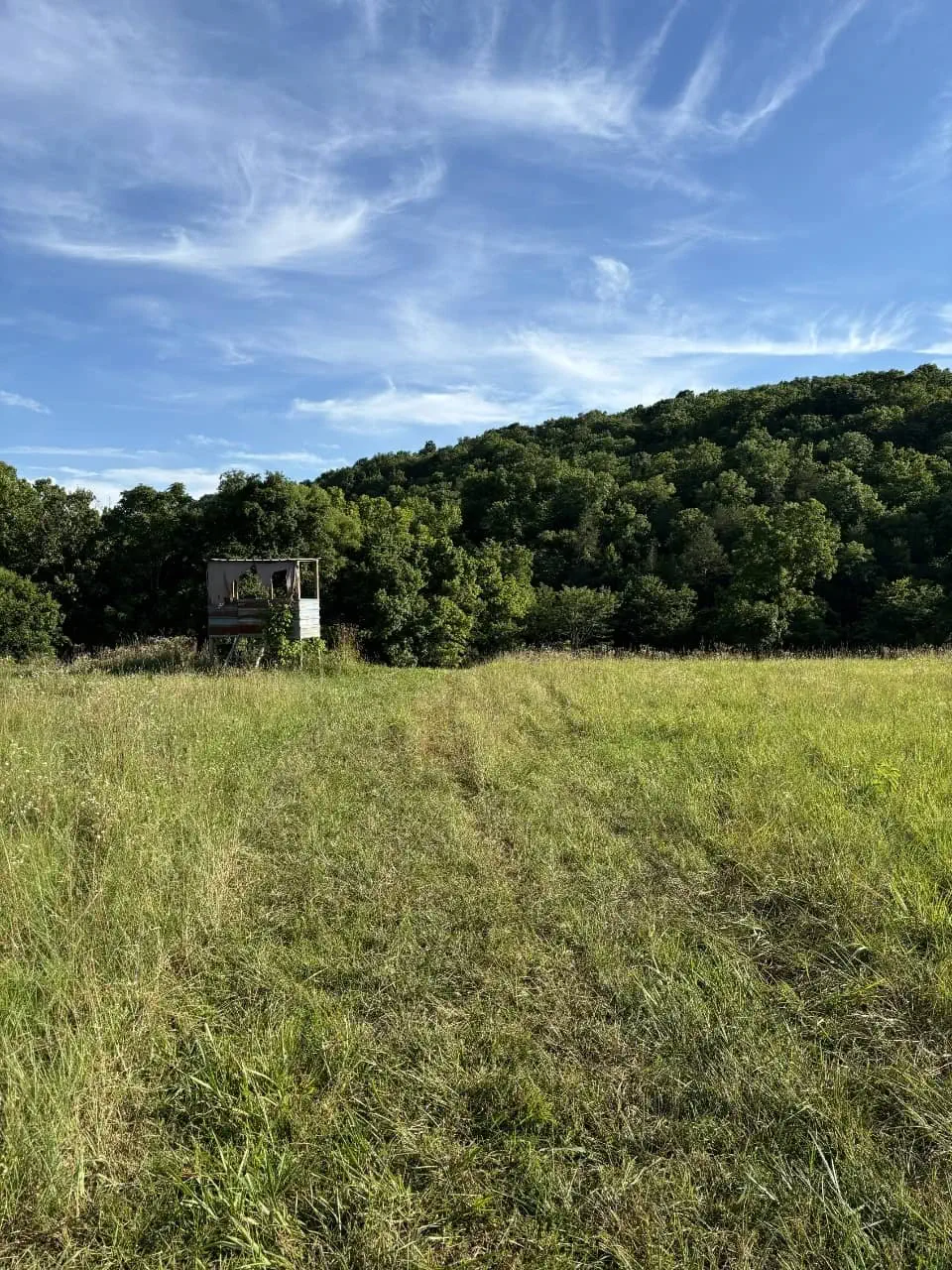 Elevated hunting blind in open meadow at The Sanctuary Ranch, surrounded by Ozark forest