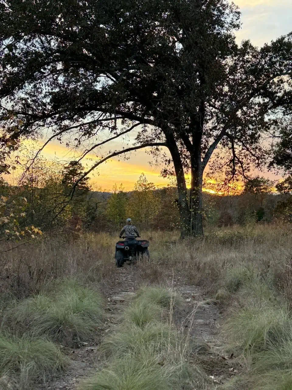 Hunter on ATV driving through wooded trail during sunset at The Sanctuary Ranch in Arkansas